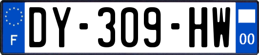 DY-309-HW