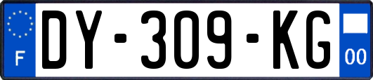 DY-309-KG