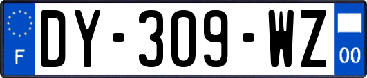 DY-309-WZ