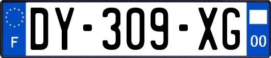 DY-309-XG