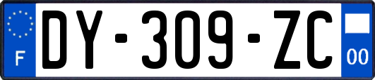 DY-309-ZC