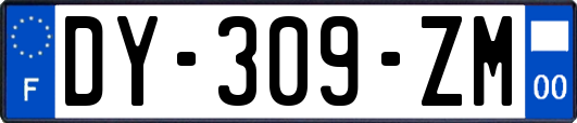 DY-309-ZM