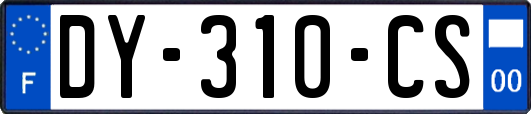 DY-310-CS