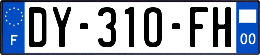 DY-310-FH