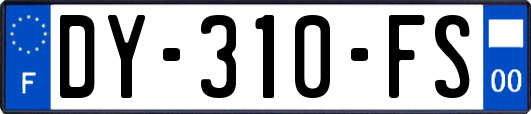 DY-310-FS