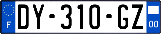 DY-310-GZ