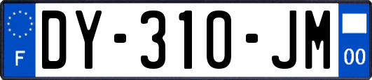 DY-310-JM