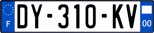 DY-310-KV