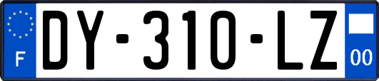 DY-310-LZ