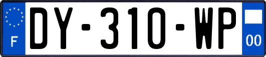 DY-310-WP