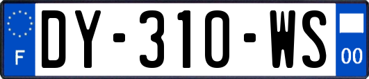 DY-310-WS