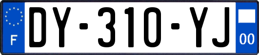 DY-310-YJ