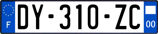 DY-310-ZC