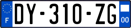 DY-310-ZG