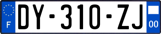 DY-310-ZJ