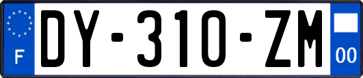 DY-310-ZM