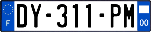 DY-311-PM