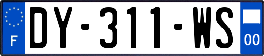 DY-311-WS