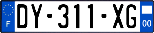 DY-311-XG