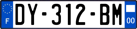 DY-312-BM