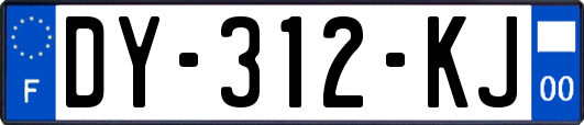 DY-312-KJ