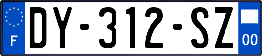 DY-312-SZ