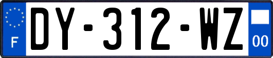 DY-312-WZ