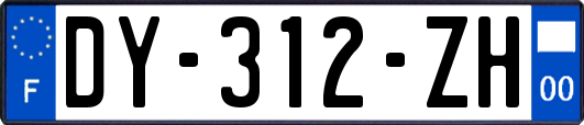 DY-312-ZH