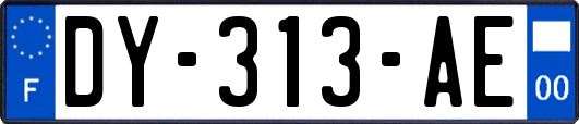 DY-313-AE