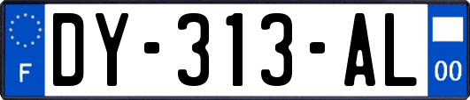 DY-313-AL