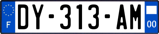 DY-313-AM