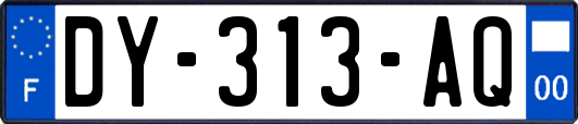 DY-313-AQ