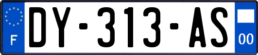 DY-313-AS