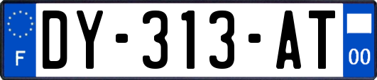 DY-313-AT