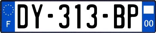 DY-313-BP