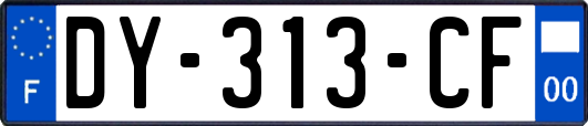 DY-313-CF