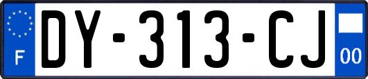 DY-313-CJ