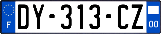 DY-313-CZ