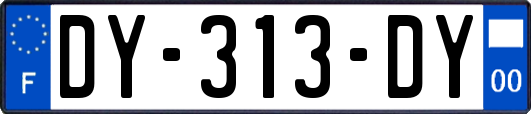 DY-313-DY