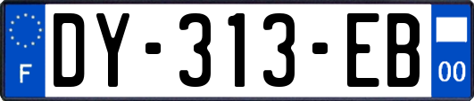 DY-313-EB