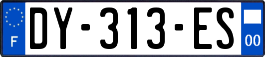DY-313-ES