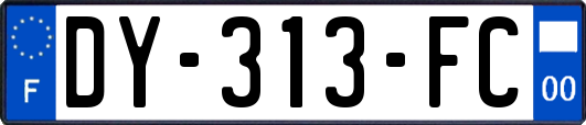 DY-313-FC