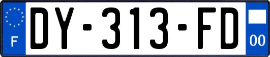 DY-313-FD