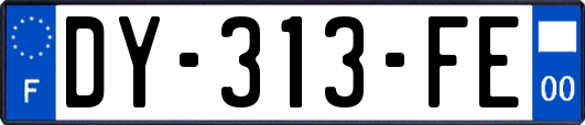 DY-313-FE