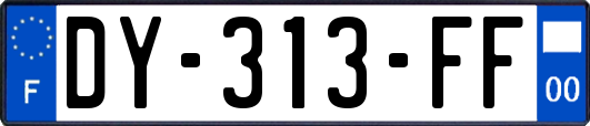 DY-313-FF