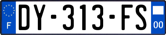 DY-313-FS