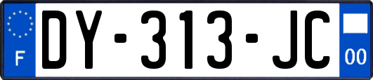 DY-313-JC