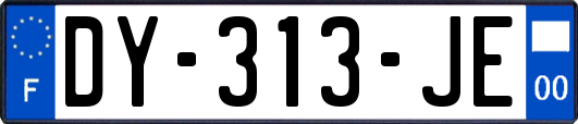 DY-313-JE