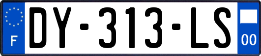 DY-313-LS