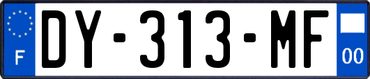 DY-313-MF